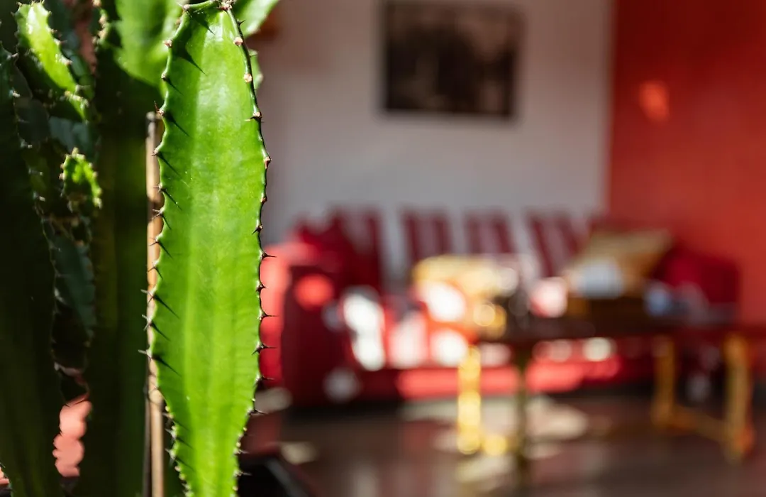 Chambre D'Amis - Chambres D'Hotes-B&B-Guest House-1