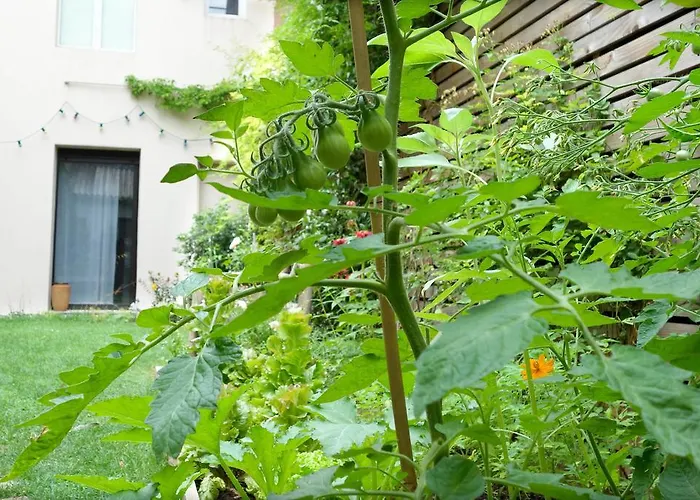 La Campagne à Paris B&B